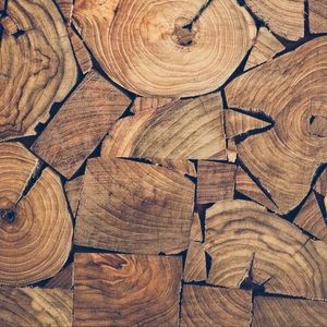 Meet your Posher, Daniel i